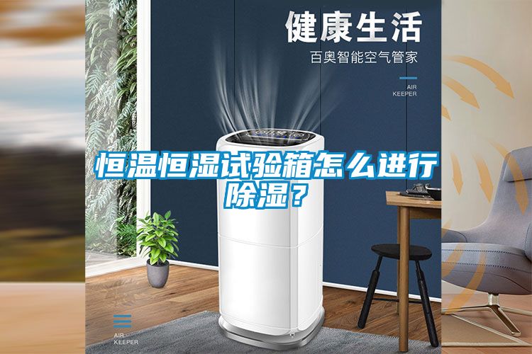 恒溫恒濕試驗(yàn)箱怎么進(jìn)行除濕？