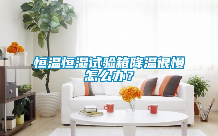 恒溫恒濕試驗(yàn)箱降溫很慢怎么辦？
