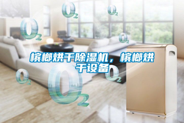 檳榔烘干除濕機，檳榔烘干設備