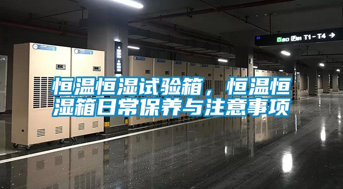 恒溫恒濕試驗(yàn)箱，恒溫恒濕箱日常保養(yǎng)與注意事項(xiàng)