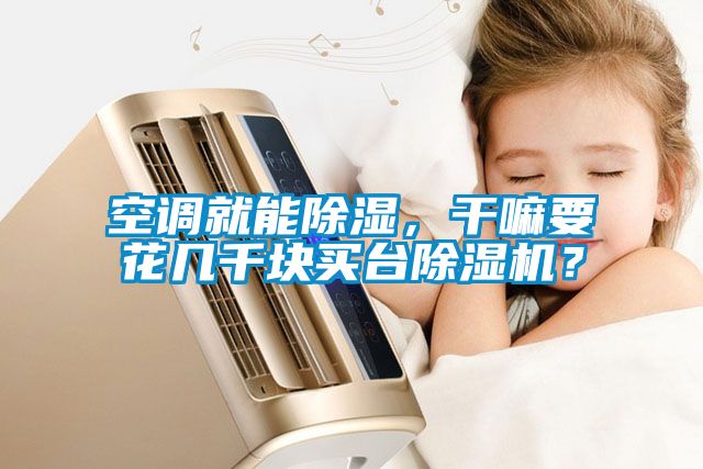 空調(diào)就能除濕，干嘛要花幾千塊買臺除濕機？