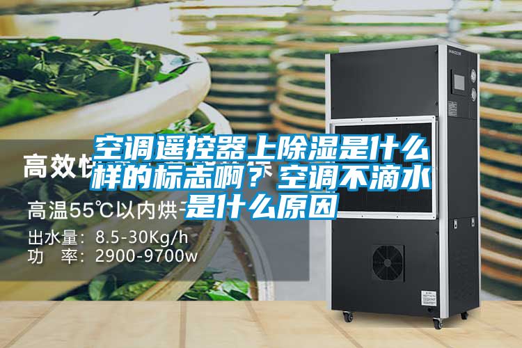 空調(diào)遙控器上除濕是什么樣的標(biāo)志??？空調(diào)不滴水是什么原因