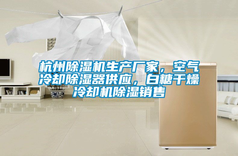 杭州除濕機(jī)生產(chǎn)廠家，空氣冷卻除濕器供應(yīng)，白糖干燥冷卻機(jī)除濕銷售
