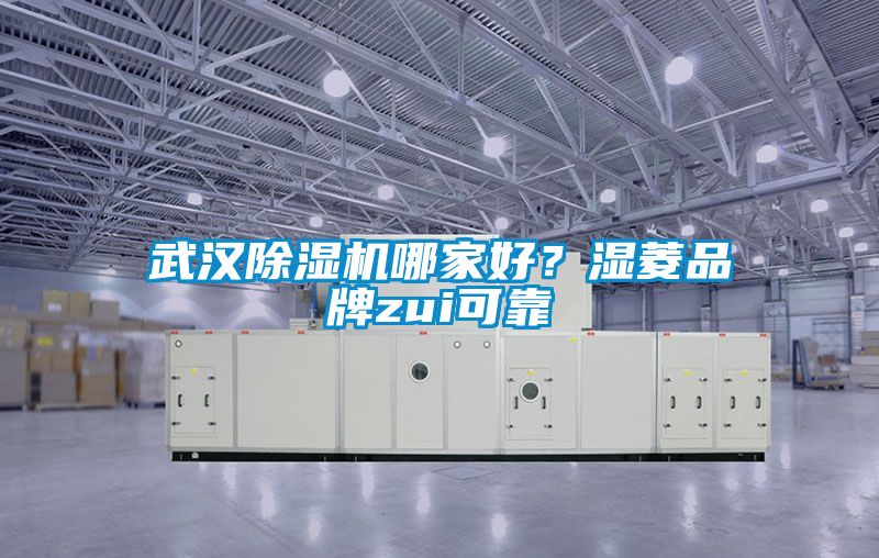 武漢除濕機(jī)哪家好？濕菱品牌zui可靠