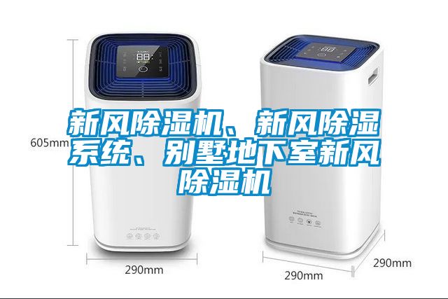 新風(fēng)除濕機(jī)、新風(fēng)除濕系統(tǒng)、別墅地下室新風(fēng)除濕機(jī)