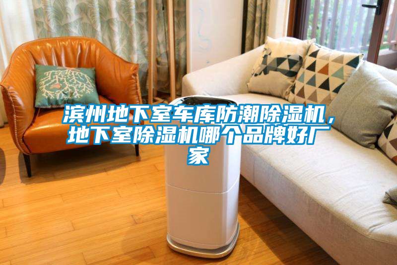濱州地下室車庫防潮除濕機(jī)，地下室除濕機(jī)哪個品牌好廠家