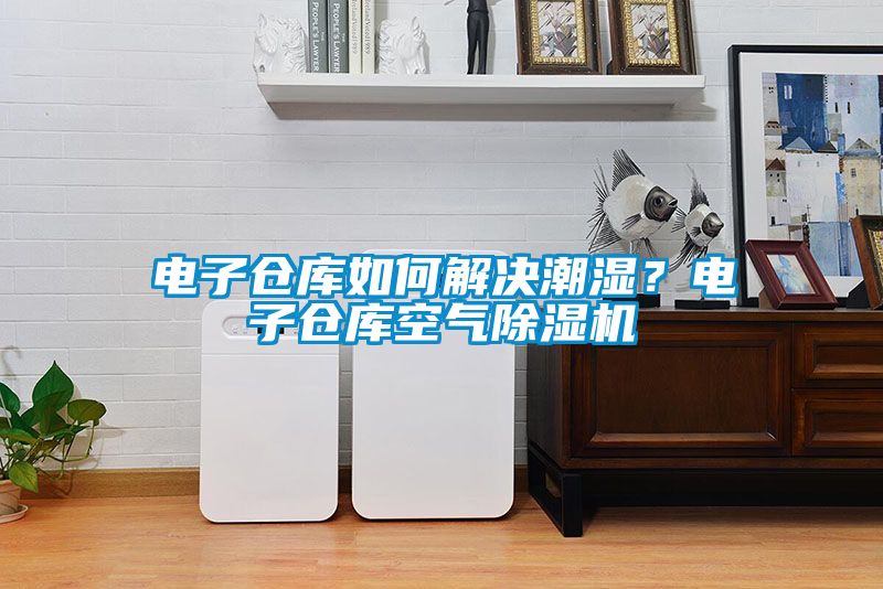 電子倉(cāng)庫(kù)如何解決潮濕？電子倉(cāng)庫(kù)空氣除濕機(jī)