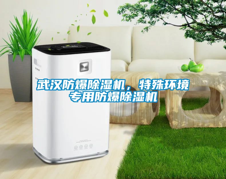 武漢防爆除濕機(jī)，特殊環(huán)境專用防爆除濕機(jī)