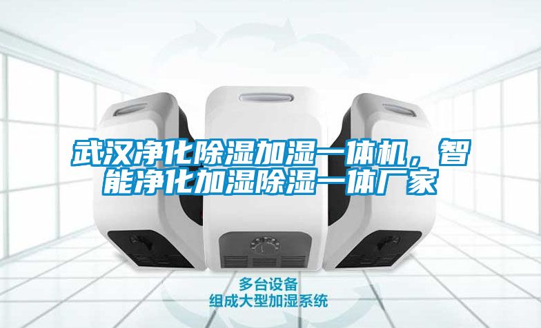 武漢凈化除濕加濕一體機，智能凈化加濕除濕一體廠家