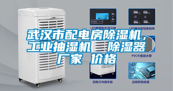 武漢市配電房除濕機(jī)，工業(yè)抽濕機(jī)  除濕器廠家 價(jià)格