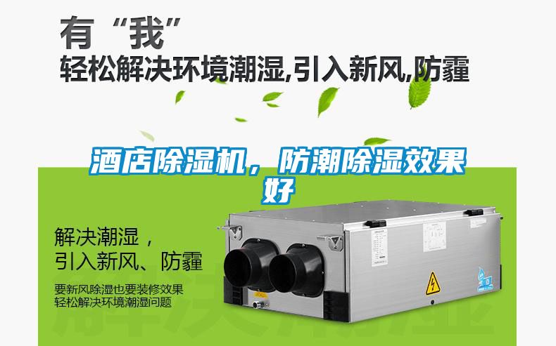 酒店除濕機，防潮除濕效果好