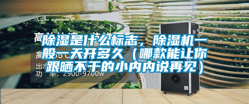 除濕是什么標(biāo)志，除濕機(jī)一般一天開(kāi)多久（哪款能讓你跟曬不干的小內(nèi)內(nèi)說(shuō)再見(jiàn)）