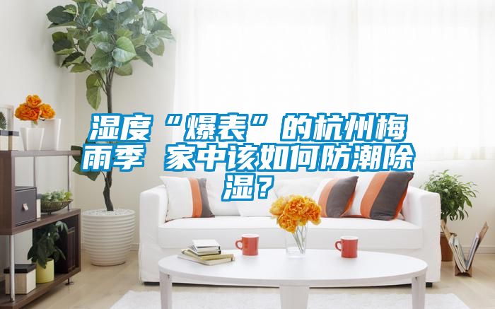 濕度“爆表”的杭州梅雨季 家中該如何防潮除濕？