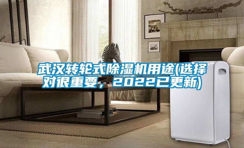 武漢轉(zhuǎn)輪式除濕機(jī)用途(選擇對(duì)很重要，2022已更新)