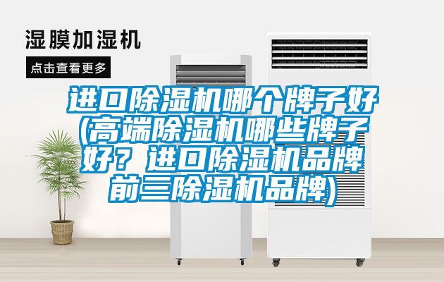 進(jìn)口除濕機(jī)哪個(gè)牌子好(高端除濕機(jī)哪些牌子好？進(jìn)口除濕機(jī)品牌前三除濕機(jī)品牌)