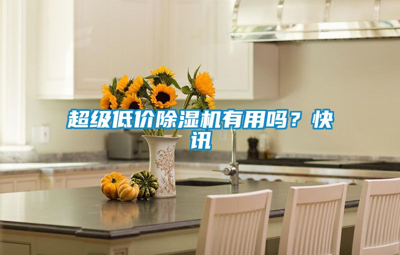 超級(jí)低價(jià)除濕機(jī)有用嗎？快訊