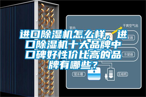 進(jìn)口除濕機(jī)怎么樣，進(jìn)口除濕機(jī)十大品牌中口碑好性價(jià)比高的品牌有哪些？