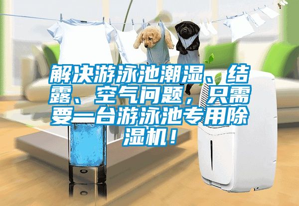 解決游泳池潮濕、結露、空氣問題，只需要一臺游泳池專用除濕機！
