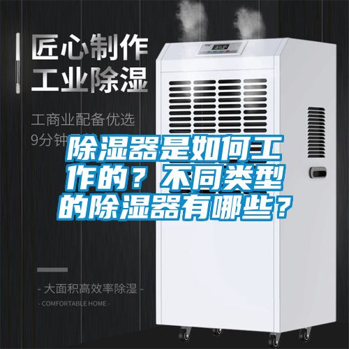 除濕器是如何工作的？不同類型的除濕器有哪些？