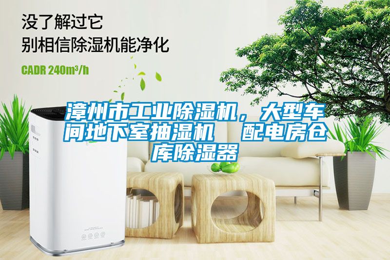 漳州市工業(yè)除濕機(jī)，大型車間地下室抽濕機(jī)  配電房倉(cāng)庫(kù)除濕器