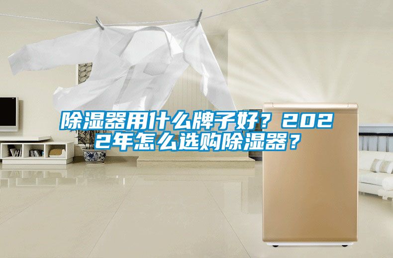 除濕器用什么牌子好？2022年怎么選購除濕器？