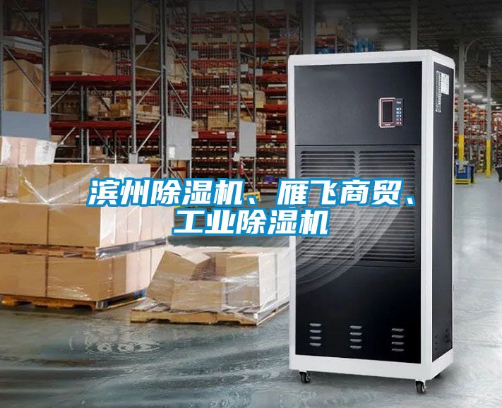 濱州除濕機、雁飛商貿(mào)、工業(yè)除濕機
