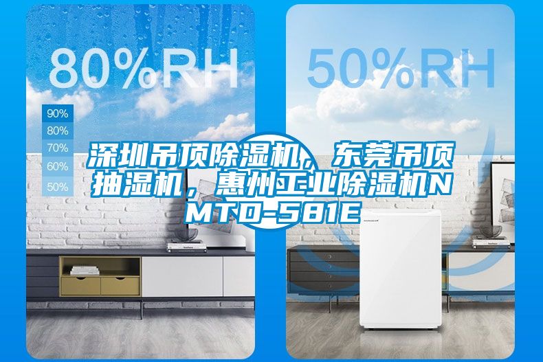 深圳吊頂除濕機(jī)，東莞吊頂抽濕機(jī)，惠州工業(yè)除濕機(jī)NMTD-581E