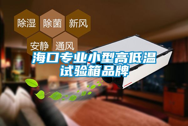 ?？趯I(yè)小型高低溫試驗(yàn)箱品牌