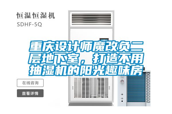 重慶設(shè)計(jì)師魔改負(fù)二層地下室，打造不用抽濕機(jī)的陽(yáng)光趣味房