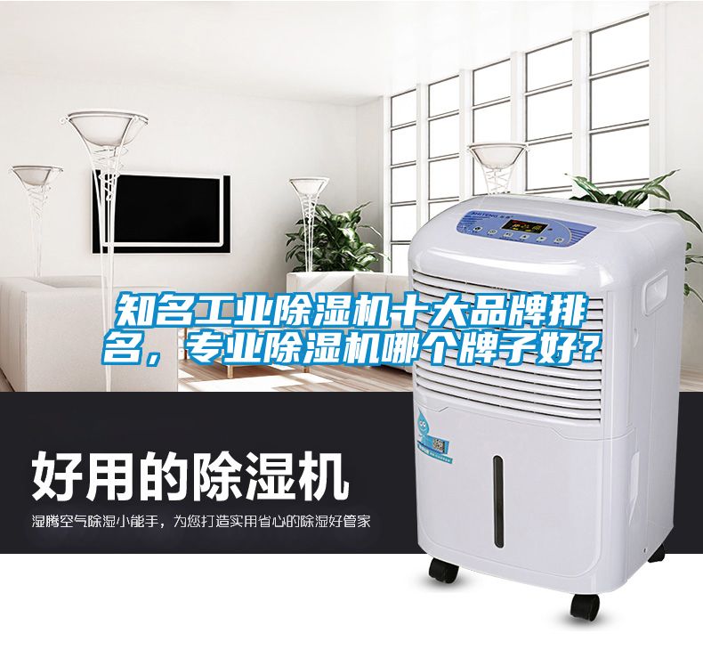 知名工業(yè)除濕機十大品牌排名，專業(yè)除濕機哪個牌子好？