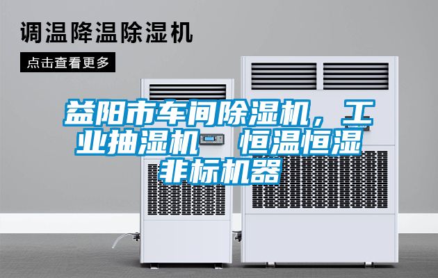 益陽市車間除濕機(jī)，工業(yè)抽濕機(jī)  恒溫恒濕非標(biāo)機(jī)器