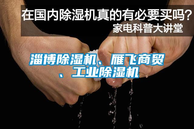淄博除濕機(jī)、雁飛商貿(mào)、工業(yè)除濕機(jī)
