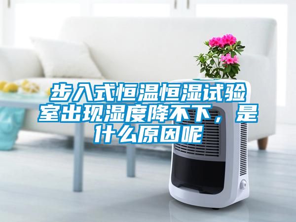 步入式恒溫恒濕試驗室出現(xiàn)濕度降不下，是什么原因呢