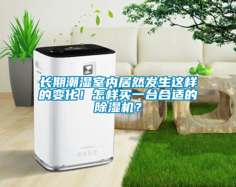 長期潮濕室內(nèi)居然發(fā)生這樣的變化！怎樣買一臺合適的除濕機(jī)？