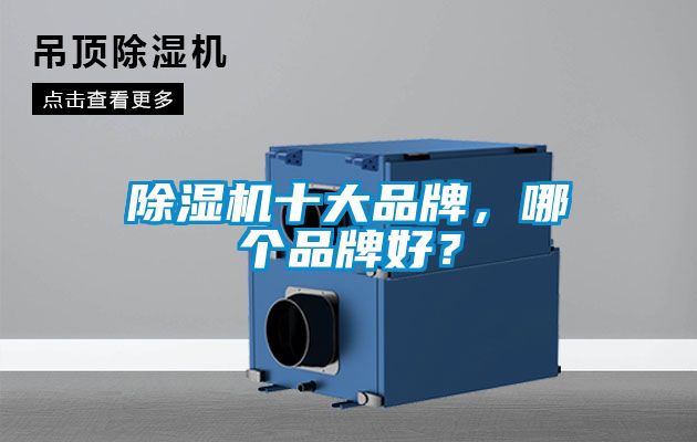 除濕機(jī)十大品牌，哪個品牌好？