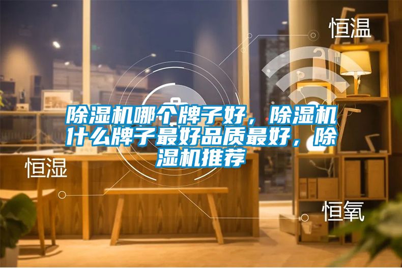 除濕機哪個牌子好，除濕機什么牌子最好品質(zhì)最好，除濕機推薦