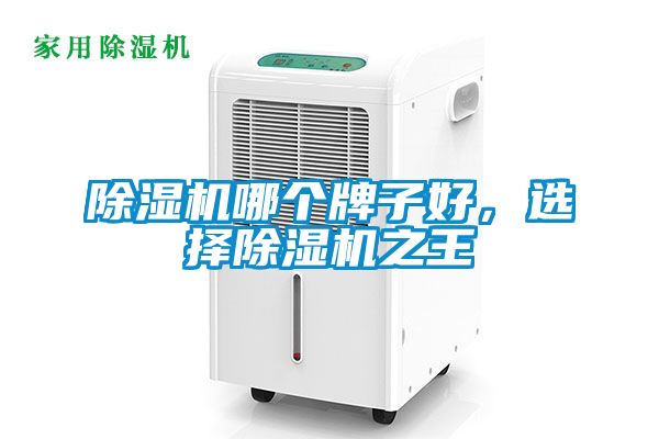 除濕機(jī)哪個牌子好，選擇除濕機(jī)之王