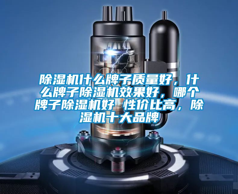 除濕機什么牌子質量好，什么牌子除濕機效果好，哪個牌子除濕機好 性價比高，除濕機十大品牌
