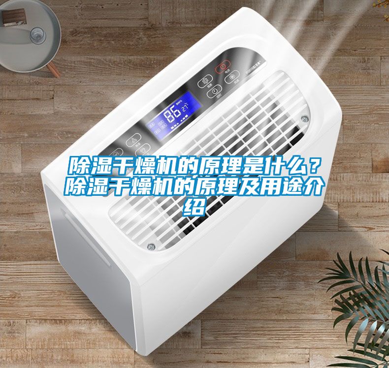 除濕干燥機的原理是什么？除濕干燥機的原理及用途介紹