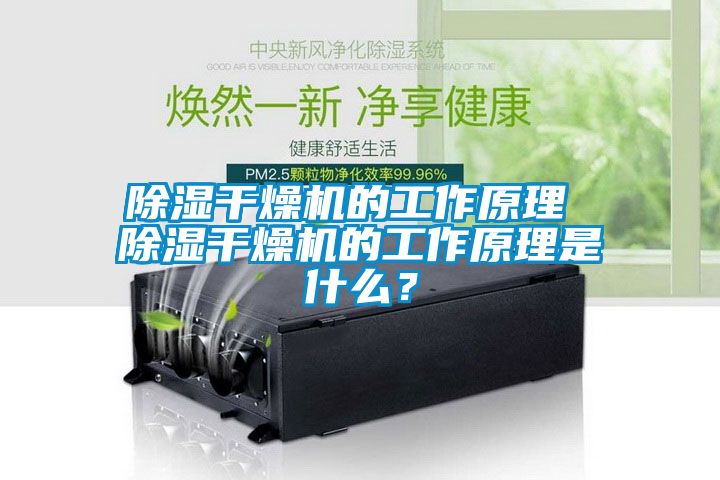 除濕干燥機的工作原理 除濕干燥機的工作原理是什么？