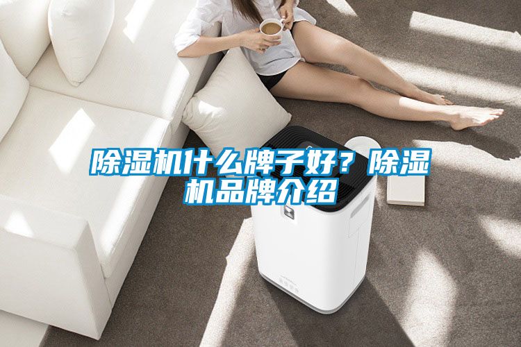 除濕機什么牌子好？除濕機品牌介紹