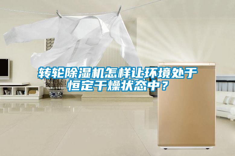 轉(zhuǎn)輪除濕機怎樣讓環(huán)境處于恒定干燥狀態(tài)中？