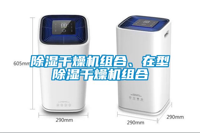 除濕干燥機(jī)組合、在型除濕干燥機(jī)組合