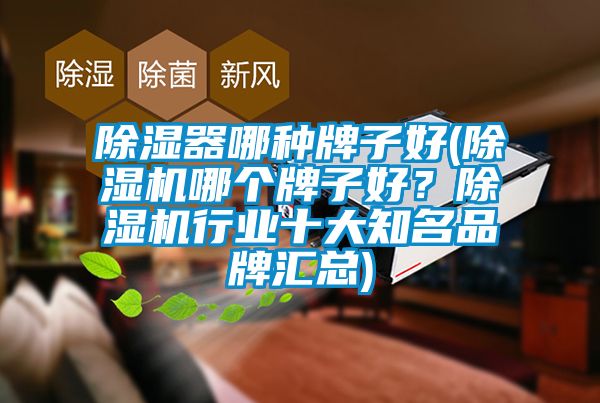 除濕器哪種牌子好(除濕機(jī)哪個牌子好？除濕機(jī)行業(yè)十大知名品牌匯總)