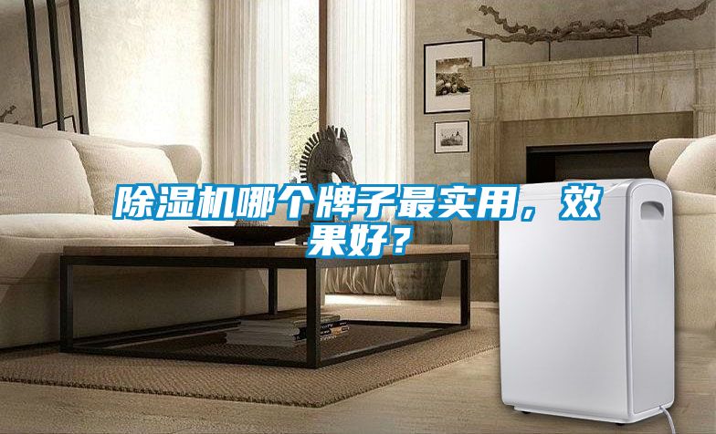 除濕機哪個牌子最實用，效果好？