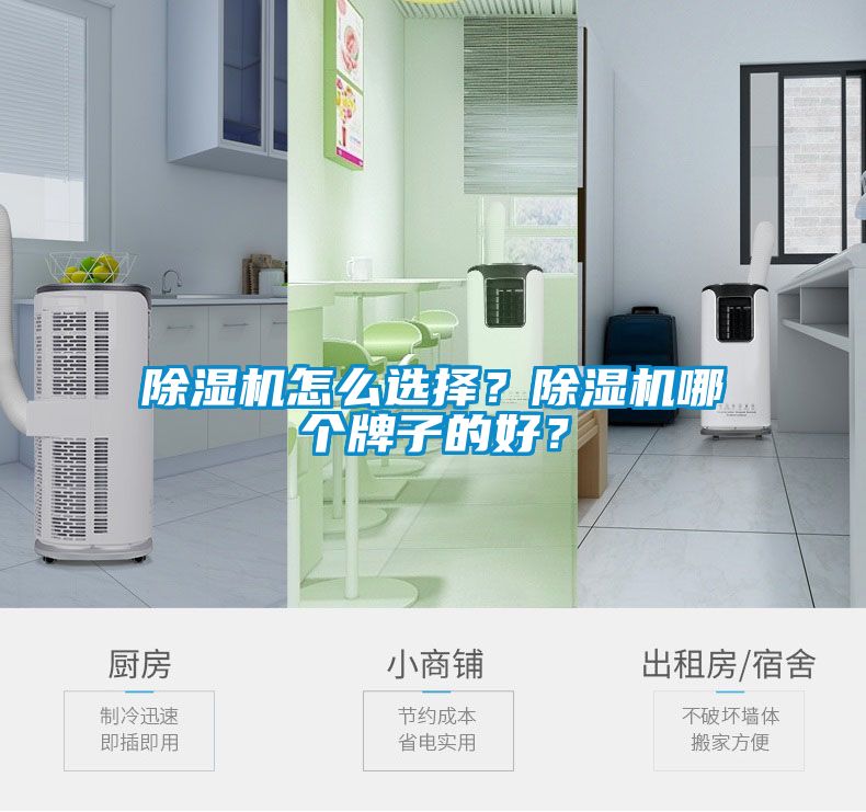 除濕機怎么選擇？除濕機哪個牌子的好？