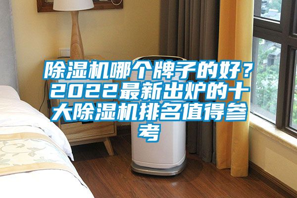 除濕機(jī)哪個(gè)牌子的好？2022最新出爐的十大除濕機(jī)排名值得參考