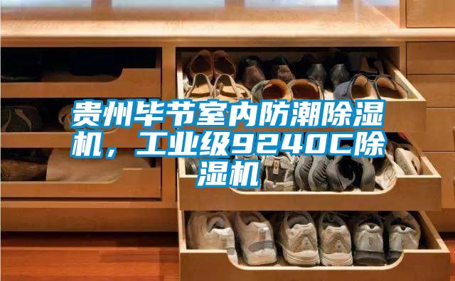 貴州畢節(jié)室內防潮除濕機，工業(yè)級9240C除濕機