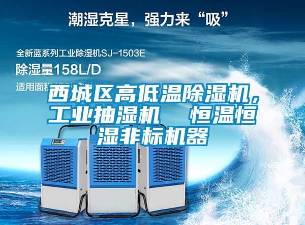西城區(qū)高低溫除濕機，工業(yè)抽濕機  恒溫恒濕非標(biāo)機器