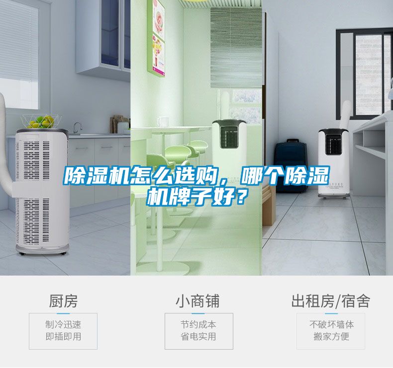 除濕機(jī)怎么選購，哪個(gè)除濕機(jī)牌子好？